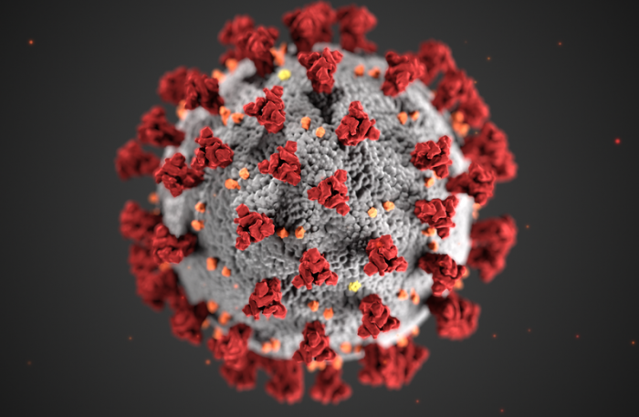 Nassau Coronavirus Cases Increase